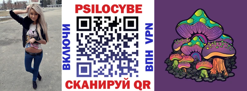 Галлюциногенные грибы Cubensis Константиновск